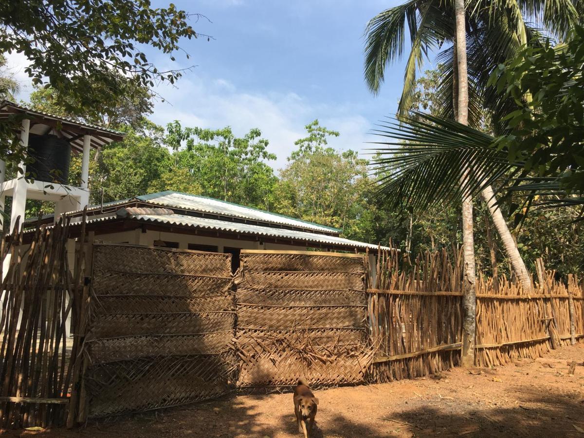 Cashew Villa Hiriketiya Dikwella Sur Exterior foto