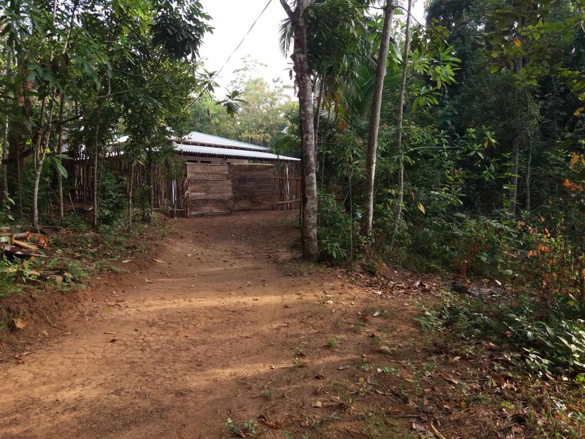 Cashew Villa Hiriketiya Dikwella Sur Exterior foto