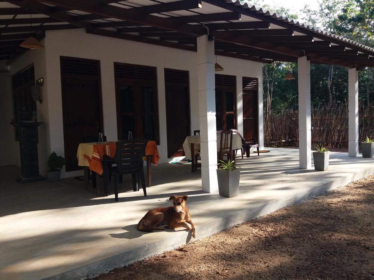 Cashew Villa Hiriketiya Dikwella Sur Exterior foto