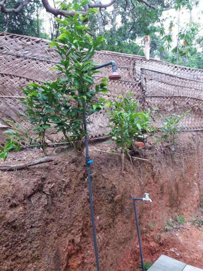 Cashew Villa Hiriketiya Dikwella Sur Exterior foto