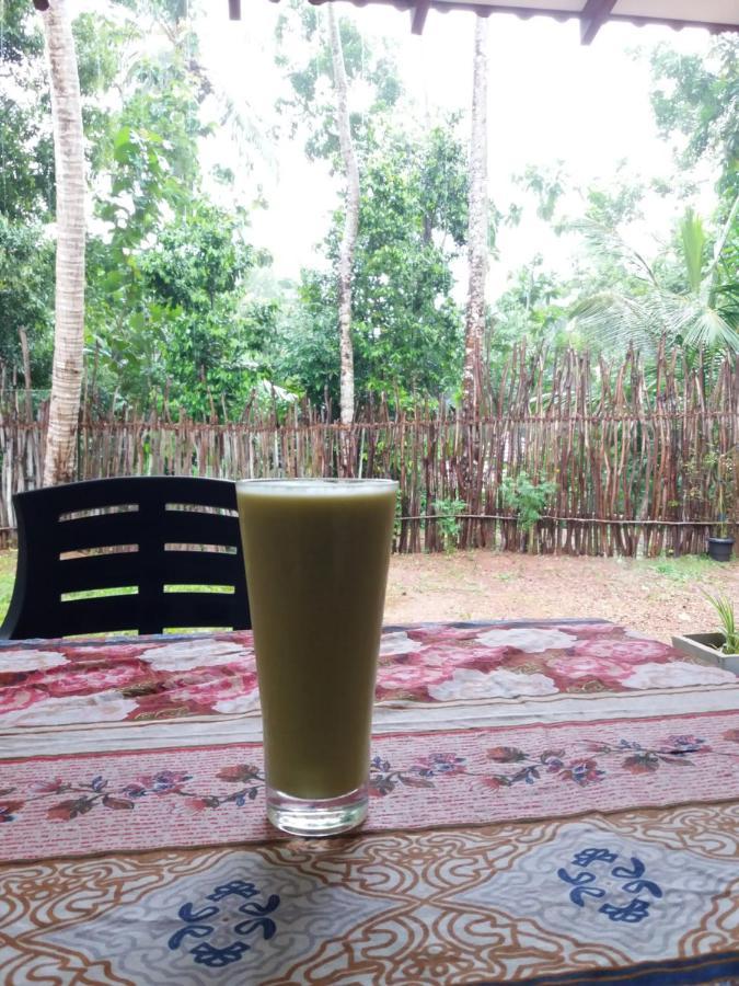 Cashew Villa Hiriketiya Dikwella Sur Exterior foto