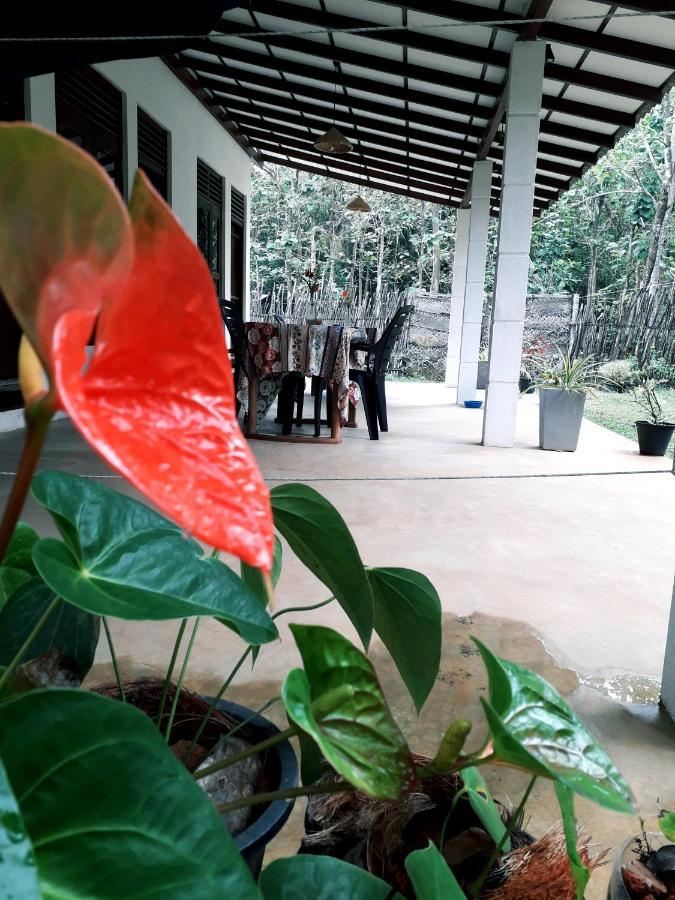 Cashew Villa Hiriketiya Dikwella Sur Exterior foto