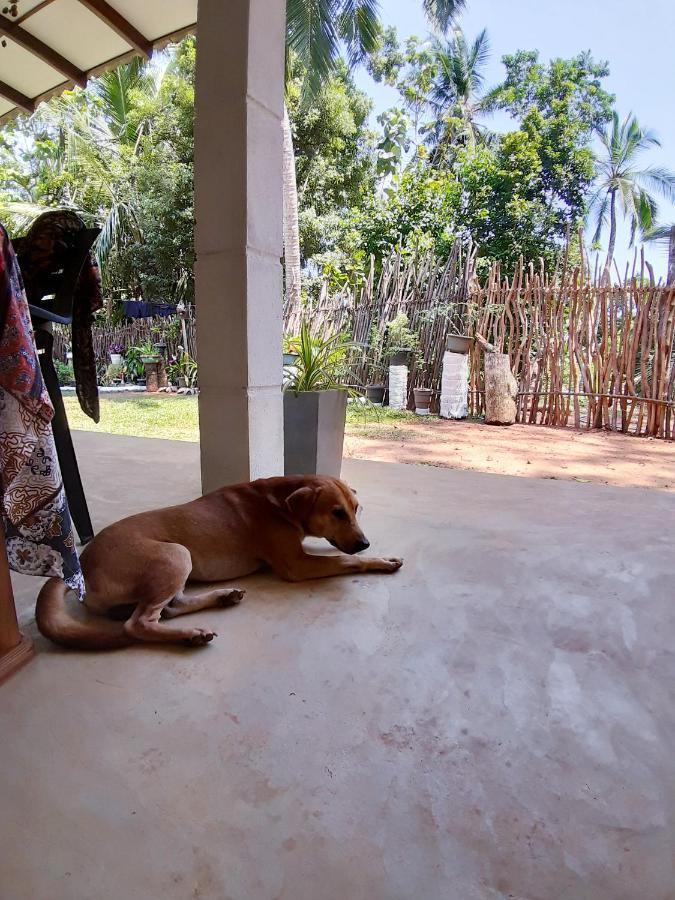 Cashew Villa Hiriketiya Dikwella Sur Exterior foto