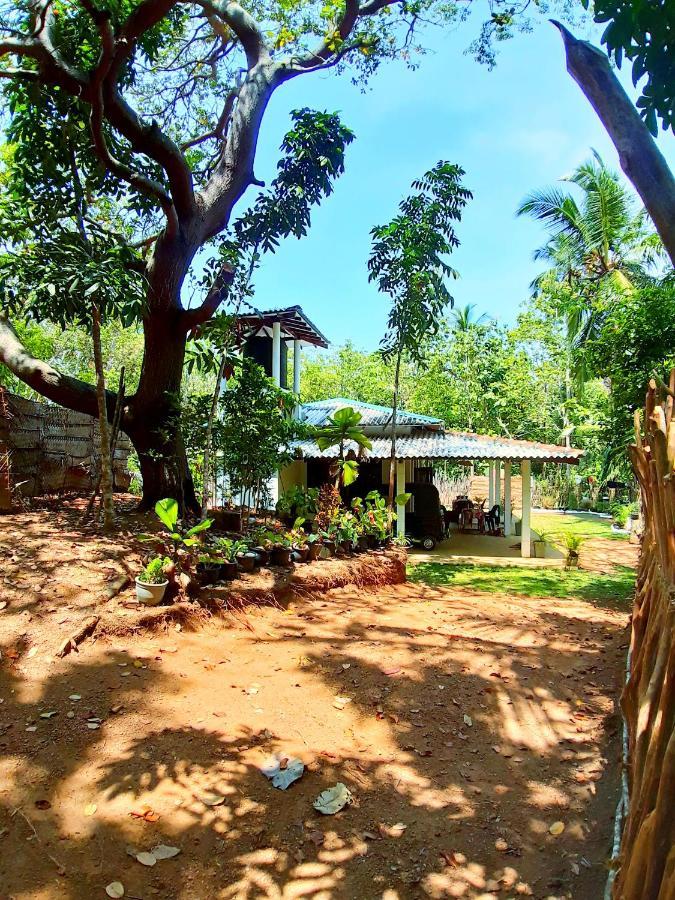 Cashew Villa Hiriketiya Dikwella Sur Exterior foto
